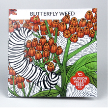 Load image into Gallery viewer, Butterfly Weed 6-Pack