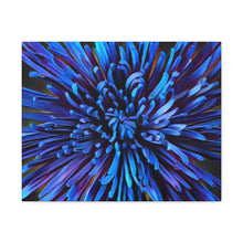 Load image into Gallery viewer, Blue Dahlia Canvas Gallery Wraps