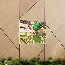 Load image into Gallery viewer, Mirrored Mallard Canvas Gallery Wraps