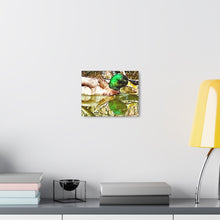 Load image into Gallery viewer, Mirrored Mallard Canvas Gallery Wraps