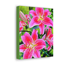 Φόρτωση εικόνας στο πρόγραμμα προβολής συλλογής, Αστροναύτες με συστροφή