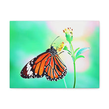 Load image into Gallery viewer, Butterfly Water Color