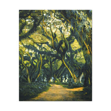 Φόρτωση εικόνας στο πρόγραμμα προβολής συλλογής, Ανάμεσα στις Φτέρες και τα Βρύα