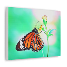 Load image into Gallery viewer, Butterfly Water Color