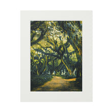 Load image into Gallery viewer, Among the Ferns and Moss Fine Art Prints