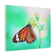 Load image into Gallery viewer, Butterfly Water Color