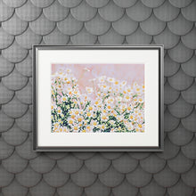 Load image into Gallery viewer, Field of Chamomile Fine Art Prints
