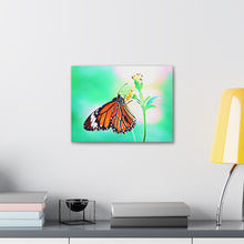 Load image into Gallery viewer, Butterfly Water Color