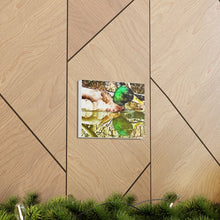 Load image into Gallery viewer, Mirrored Mallard Canvas Gallery Wraps