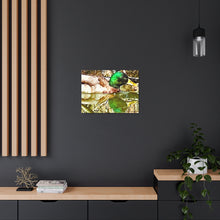 Load image into Gallery viewer, Mirrored Mallard Canvas Gallery Wraps