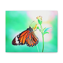 Load image into Gallery viewer, Butterfly Water Color