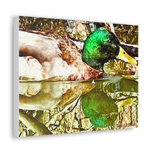 Load image into Gallery viewer, Mirrored Mallard Canvas Gallery Wraps