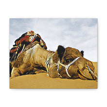 Φόρτωση εικόνας στο πρόγραμμα προβολής συλλογής, Μια καμήλα που αναπαύεται ειρηνικά