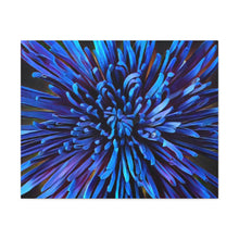 Load image into Gallery viewer, Blue Dahlia Canvas Gallery Wraps