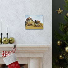 Φόρτωση εικόνας στο πρόγραμμα προβολής συλλογής, Μια καμήλα που αναπαύεται ειρηνικά