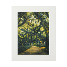 Load image into Gallery viewer, Among the Ferns and Moss Fine Art Prints