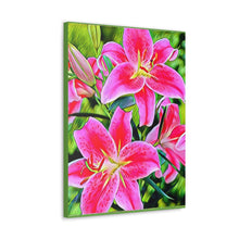 Φόρτωση εικόνας στο πρόγραμμα προβολής συλλογής, Αστροναύτες με συστροφή