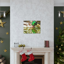 Load image into Gallery viewer, Mirrored Mallard Canvas Gallery Wraps