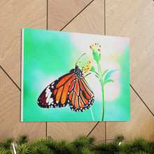 Load image into Gallery viewer, Butterfly Water Color