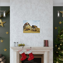 Φόρτωση εικόνας στο πρόγραμμα προβολής συλλογής, Μια καμήλα που αναπαύεται ειρηνικά