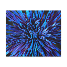 Load image into Gallery viewer, Blue Dahlia Canvas Gallery Wraps