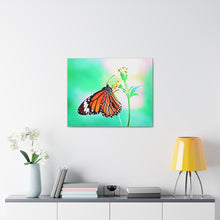 Load image into Gallery viewer, Butterfly Water Color