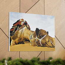 Φόρτωση εικόνας στο πρόγραμμα προβολής συλλογής, Μια καμήλα που αναπαύεται ειρηνικά