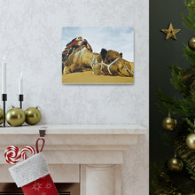 Φόρτωση εικόνας στο πρόγραμμα προβολής συλλογής, Μια καμήλα που αναπαύεται ειρηνικά