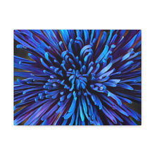 Load image into Gallery viewer, Blue Dahlia Canvas Gallery Wraps