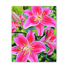 Φόρτωση εικόνας στο πρόγραμμα προβολής συλλογής, Αστροναύτες με συστροφή