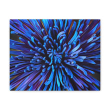 Load image into Gallery viewer, Blue Dahlia Canvas Gallery Wraps