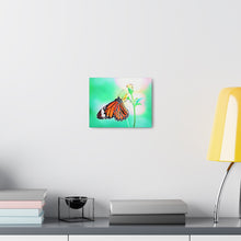 Load image into Gallery viewer, Butterfly Water Color