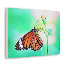 Load image into Gallery viewer, Butterfly Water Color
