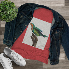 Load image into Gallery viewer, Vintage Green Parrot