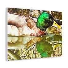 Load image into Gallery viewer, Mirrored Mallard Canvas Gallery Wraps