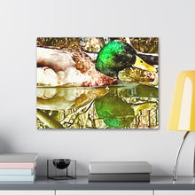 Load image into Gallery viewer, Mirrored Mallard Canvas Gallery Wraps