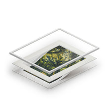 Load image into Gallery viewer, Among the Ferns and Moss Fine Art Prints