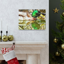 Load image into Gallery viewer, Mirrored Mallard Canvas Gallery Wraps