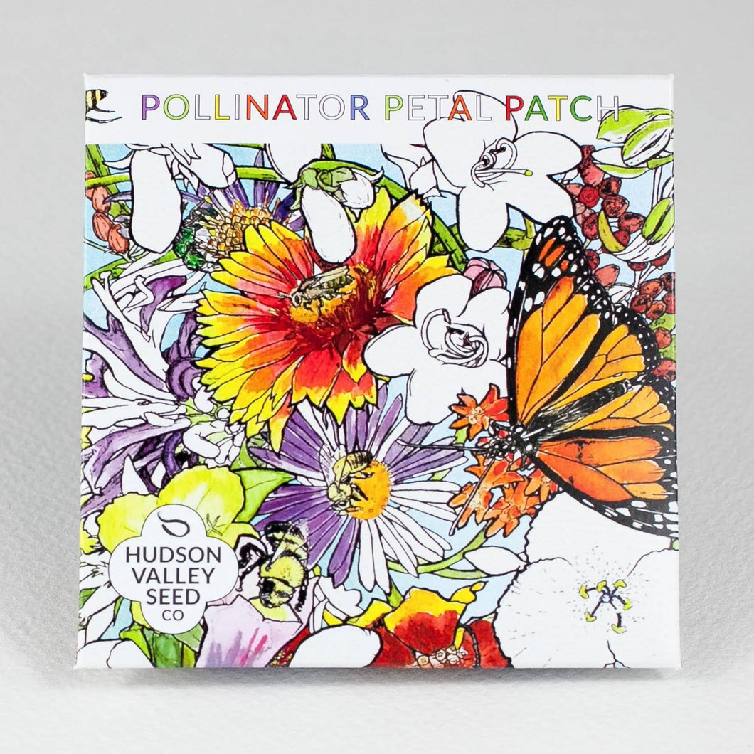 Pollinator Petal Patch 6-Pack