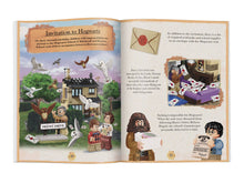 Load image into Gallery viewer, LEGO(R) Harry Potter(TM) Magical Year at Hogwarts
