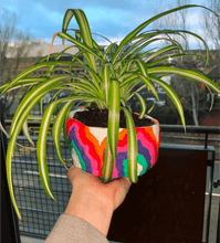 Load image into Gallery viewer, Super Clay: 1kg
