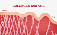Load image into Gallery viewer, Collagen+ with Hydrolyzed Collagen Powder - Biotin - Hyaluronic Acid &amp; Vitamin C
