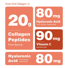 Load image into Gallery viewer, Collagen+ with Hydrolyzed Collagen Powder - Biotin - Hyaluronic Acid &amp; Vitamin C
