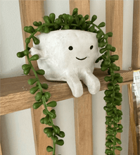 Load image into Gallery viewer, Super Clay: 1kg
