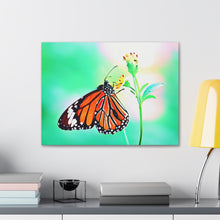 Load image into Gallery viewer, Butterfly Water Color
