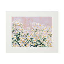 Load image into Gallery viewer, Field of Chamomile Fine Art Prints
