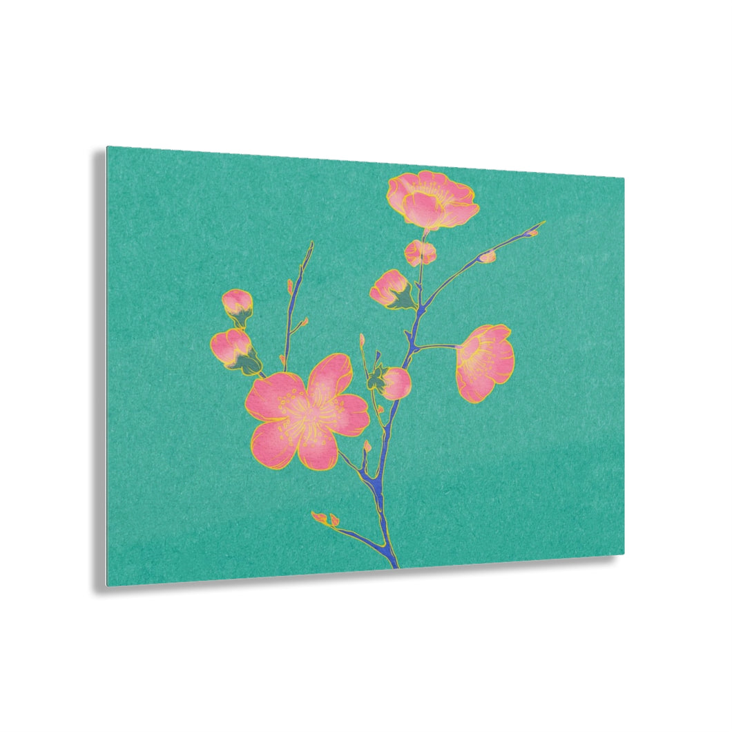 Cherry Blossom Acrylic Prints