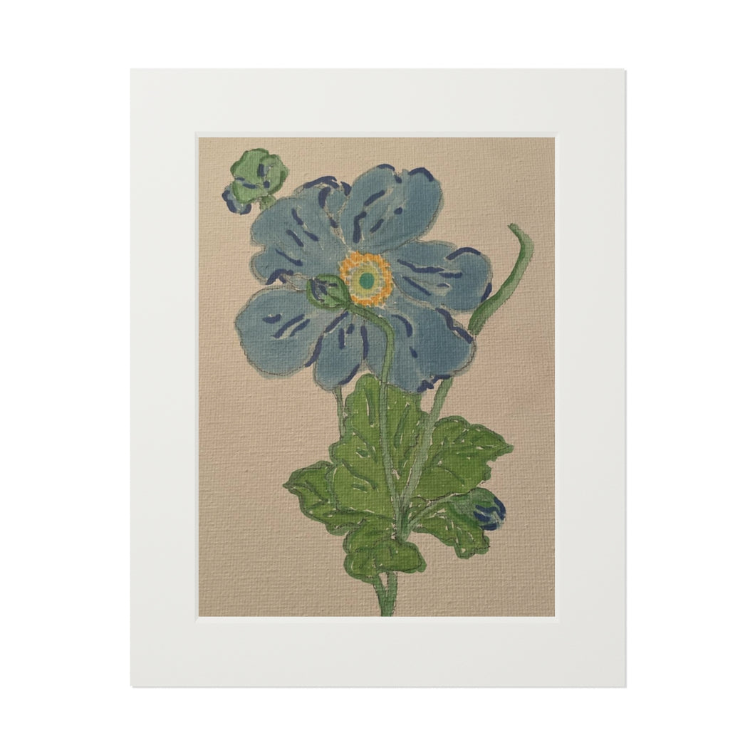 Blue Flower Fine Art Prints