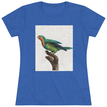 Load image into Gallery viewer, Vintage Green Parrot
