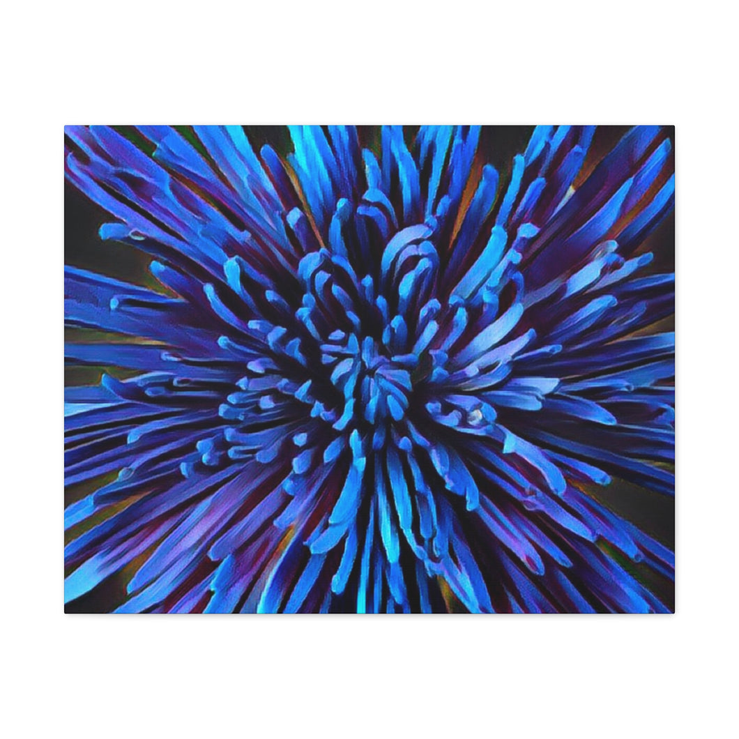 Blue Dahlia Canvas Gallery Wraps